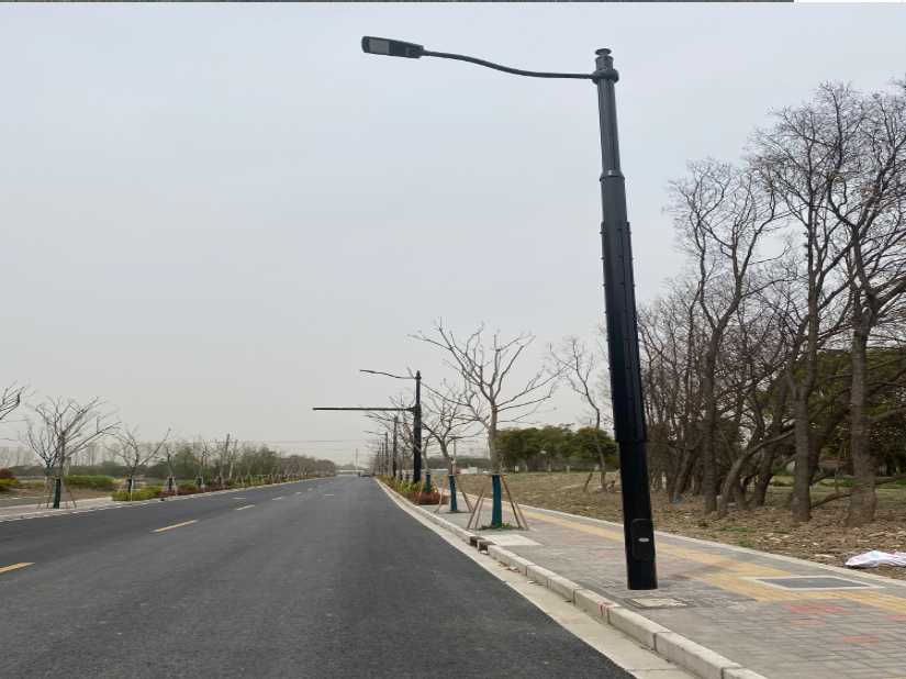 平桂区上海综合杆 太阳能路灯工程